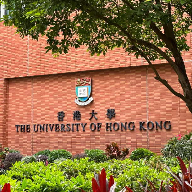 香港大學25Fall新增11個專業(yè)，盤點申請要求！